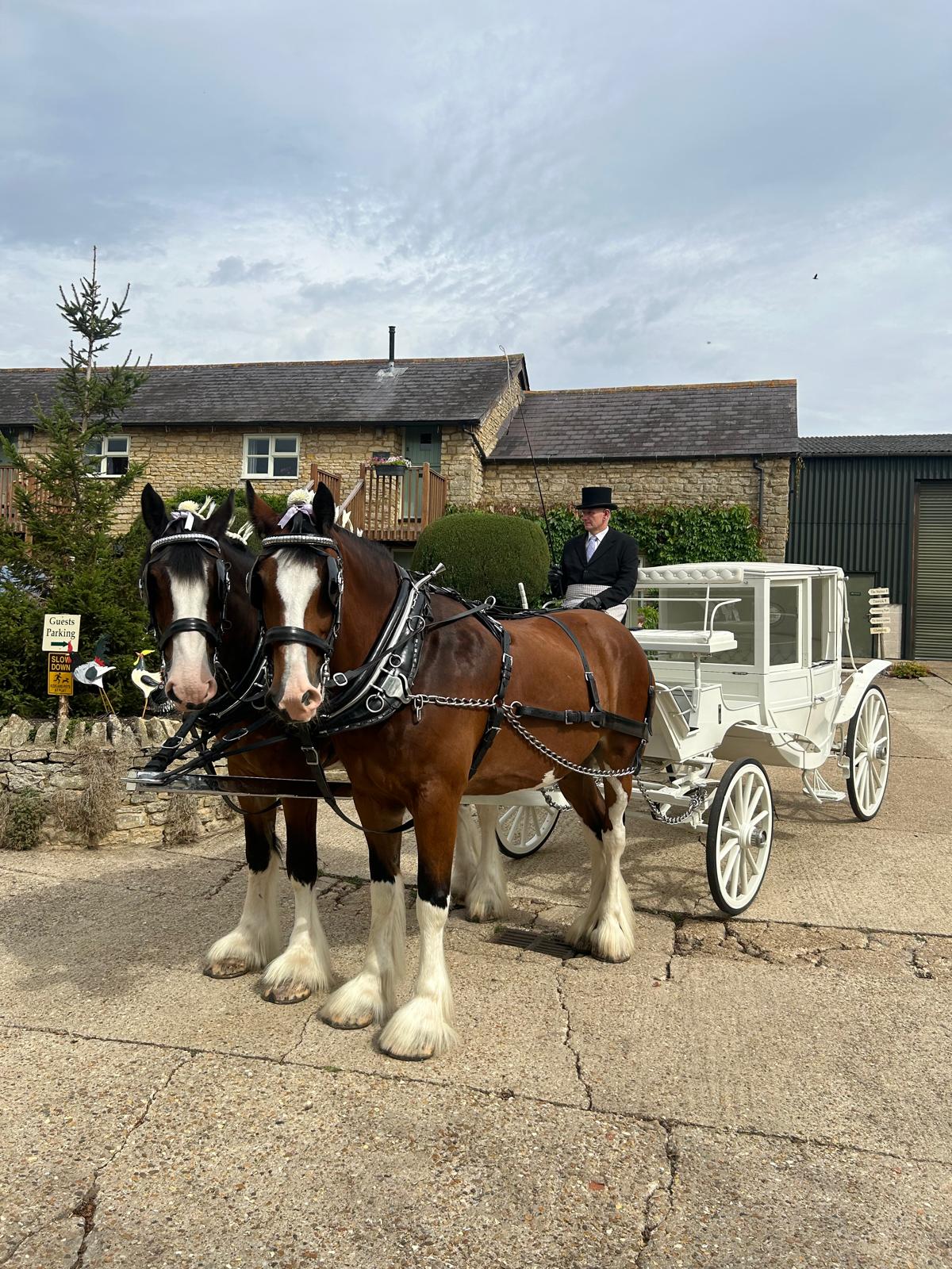 Glass Fronted Landau - Hood Up